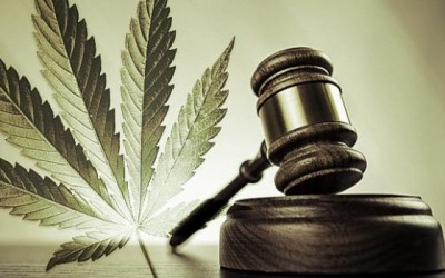 The Compassionate Medical Cannabis Act And Amendment 2:  A Better Understanding