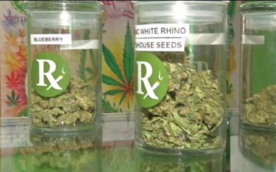 Florida Medical Marijuana Campaign